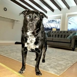 Meet your Posher, Ed